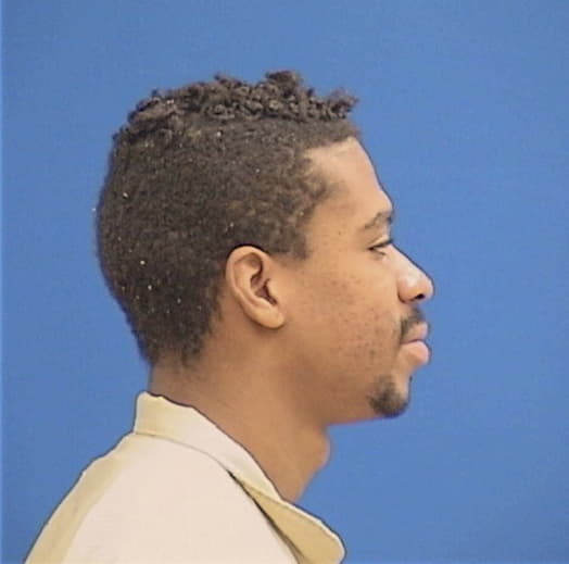 HOLLINS, JULIAN A., Henry County  IL