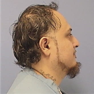 MAUNA, MICHAEL, Cook County  IL