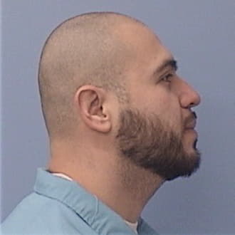 HERNANDEZ, ELVER, Lake County  IL