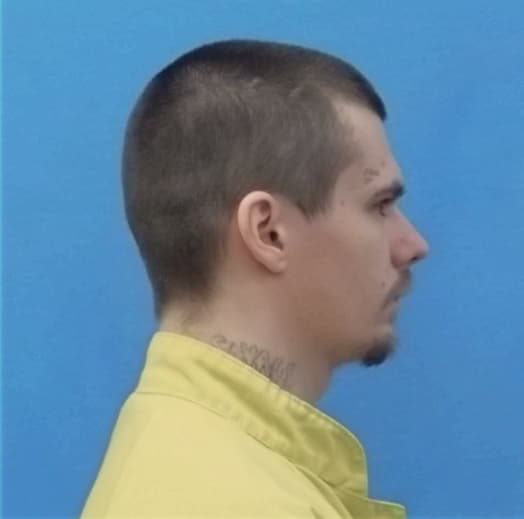 WRIGHT, MICHAEL J., Saline County  IL