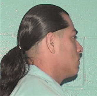 PEREZ, NESTOR, Kane County  IL