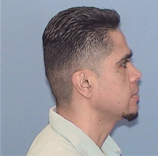 HERNANDEZ-LIMON, ARMANDO, Lake County  IL