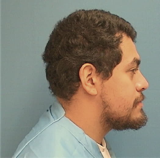 RENDON, ABEL, Kane County  IL