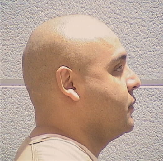 REYES, ROBERTO, Cook County  IL