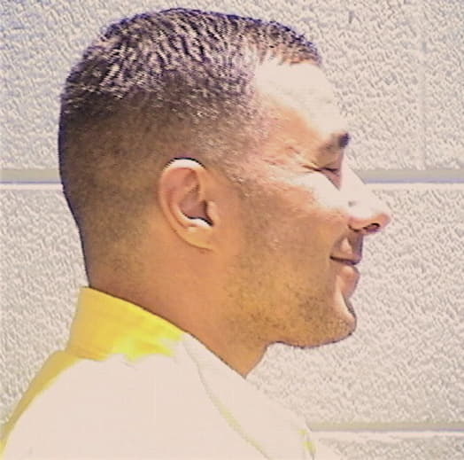 RIBAUDO, JOSEPH M., Lake County  IL