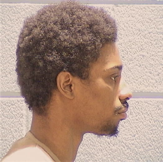 LEE, VIDAL C., Cook County  IL