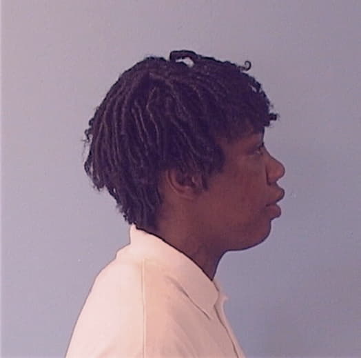 JOHNSON, LAUCHARRA D., Kankakee County  IL