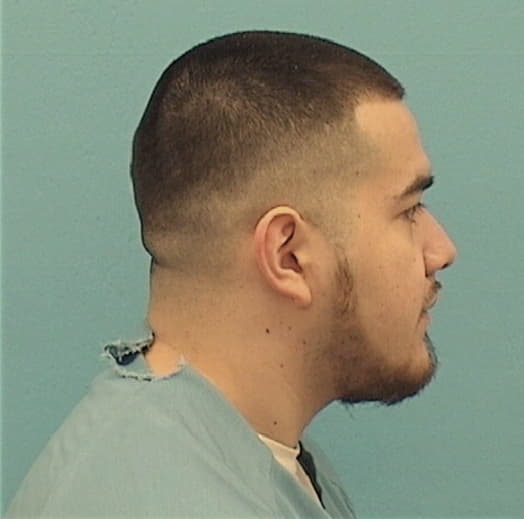 CASTILLO, JUSTIN S., Will County  IL