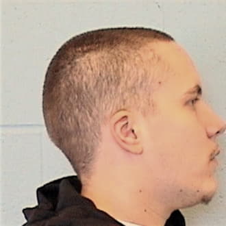 KINSMAN, TRAVIS, Lake County  IL