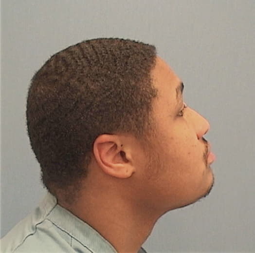 ANDERSON, STANLEY, Cook County  IL
