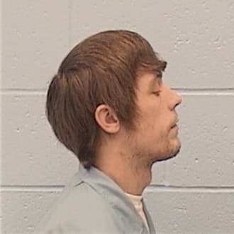 SCHREIBER, DAVID G., Whiteside County  IL