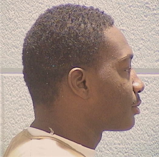 PALMER, RAYKEZION S., Macon County  IL