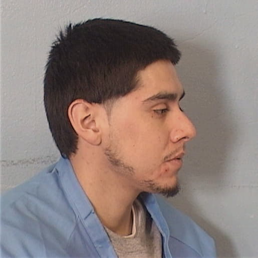 ORTEGA, JOHN, Cook County  IL