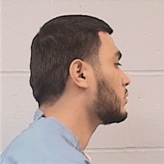 PEREZ, ALVARO, Cook County  IL
