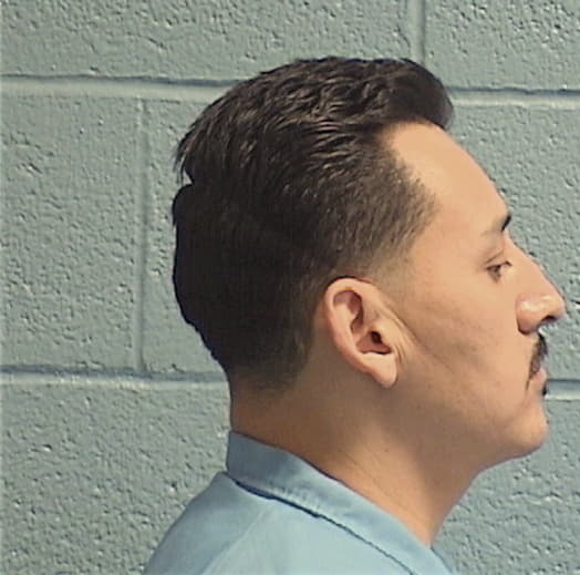 MONTES, MODESTO, Kane County  IL