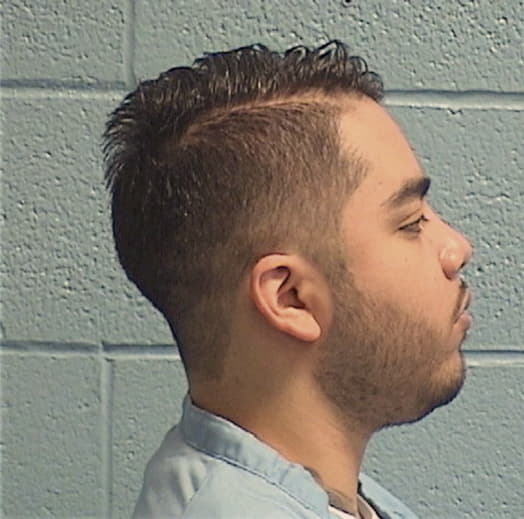 MARES, ADOLFO, Kane County  IL