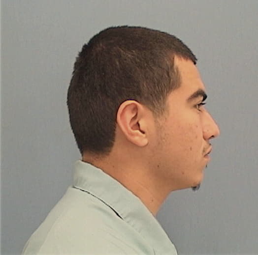 BUSTOS, HERIBERTO, Cook County  IL