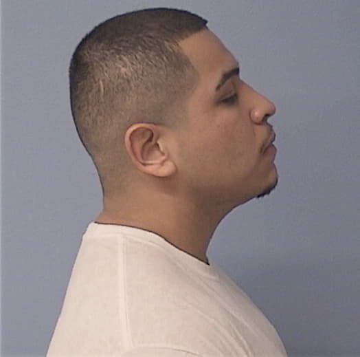 CALDERON, JESSE, Will County  IL