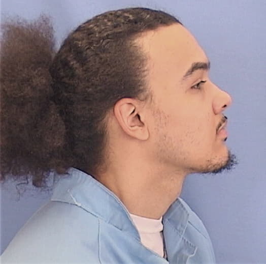 MADISON, CHRISTOPHER D., Will County  IL