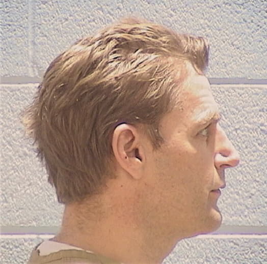 SWAN, JAMES K. II, Lake County  IL