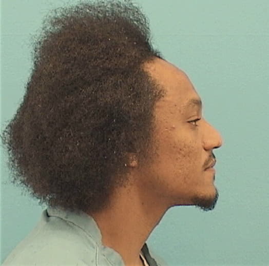 WILLIAMS, GABRIEL, Cook County  IL