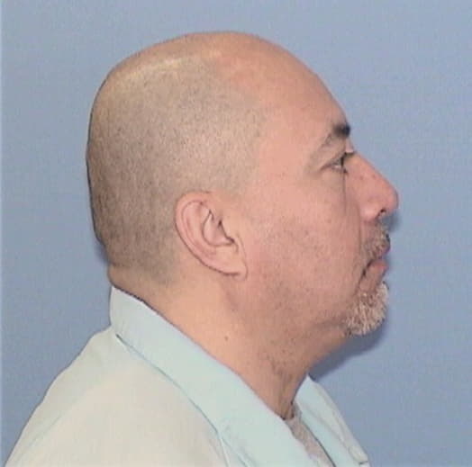 ROSALES, ISMAEL, Cook County  IL
