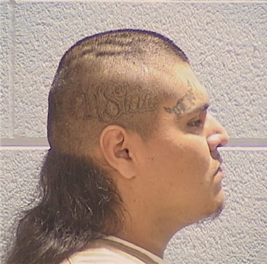HERNANDEZ, JAVIER, Cook County  IL