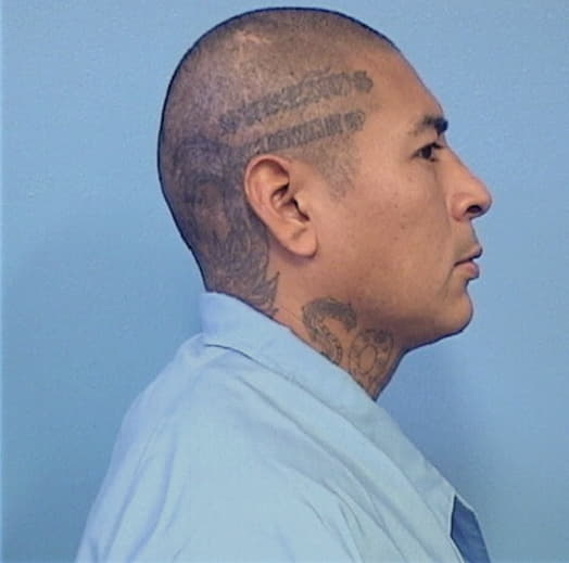 DOMINGUEZ-ELEPER, JOSE A., Lake County  IL
