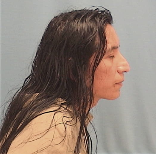 IBARRA-LANDA, PEDRO, Lake County  IL