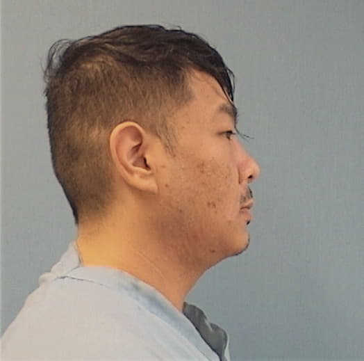 SHAN, WEI H., Cook County  IL
