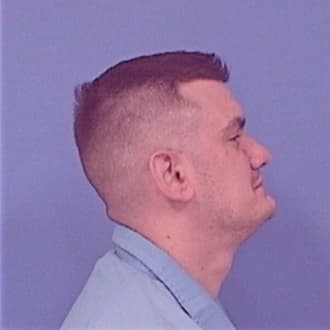 WARNER, MICHAEL L., Lasalle County  IL