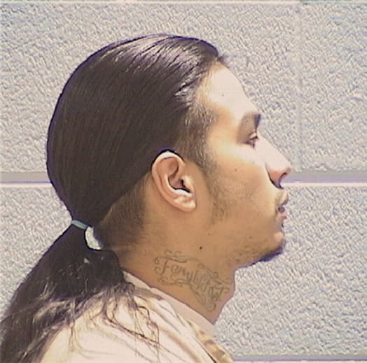 SUAREZ, MIGUEL, Cook County  IL
