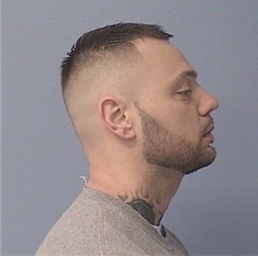 VILES, ANDREW J., Grundy County  IL