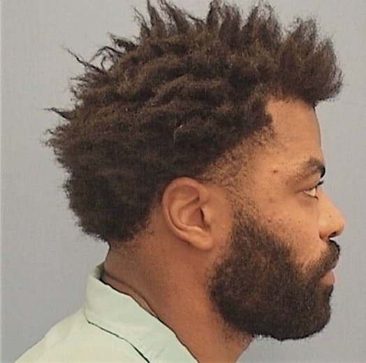 MCFARLANE, JAVON L., Lake County  IL