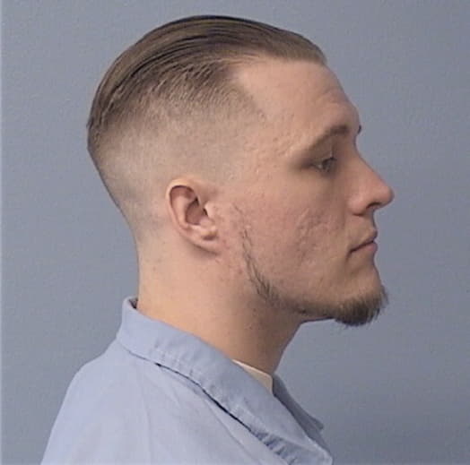 ALLEN, NICHOLAS, Kane County  IL