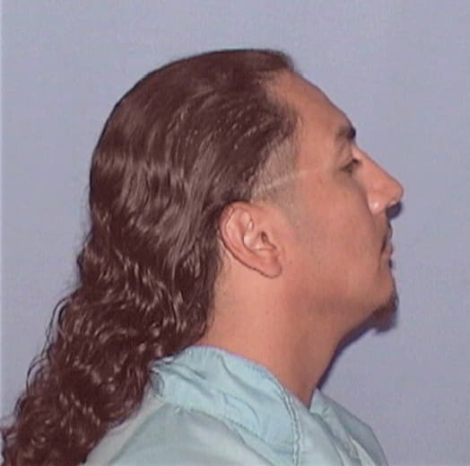 BRISENO, ALEXANDER, Kane County  IL