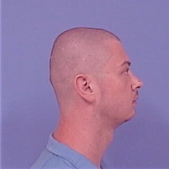 LANE, AUSTIN W., Mason County  IL
