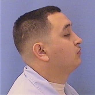 IBARRA, GUILLERMO, Cook County  IL