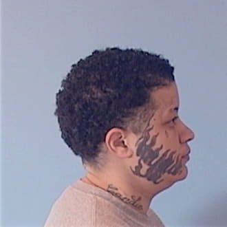 JOHNSON, CANIECE D., Madison County  IL