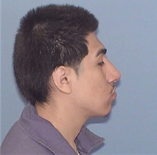 JUAREZ, BRYAN, Cook County  IL