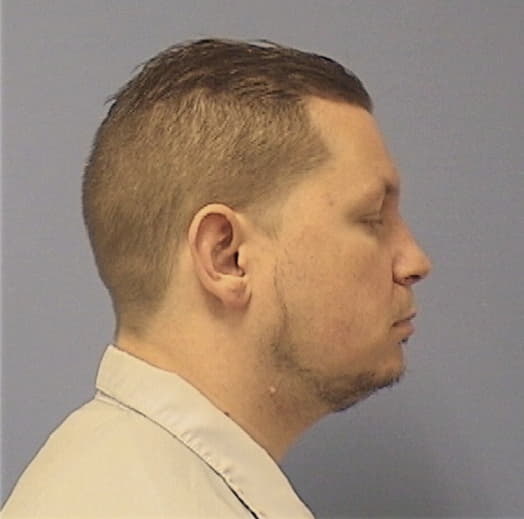 DONELLI, VINCENT J., McHenry County  IL