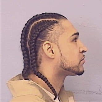 DIAZ, NELSON, Cook County  IL