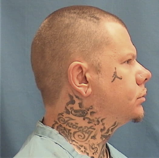 VAUGHN, ANTHONY M., Monroe County  IL