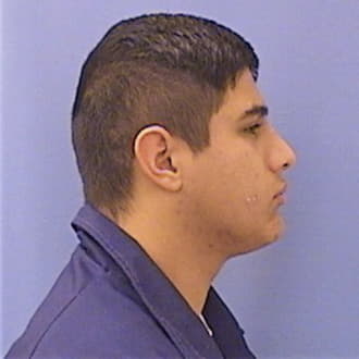 RAMIREZ, GERMAN, Winnebago County  IL