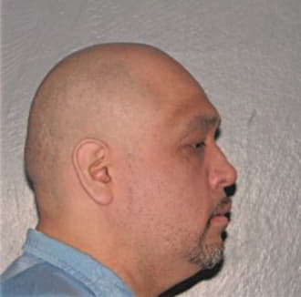 PESINA, MICHAEL, Cook County  IL