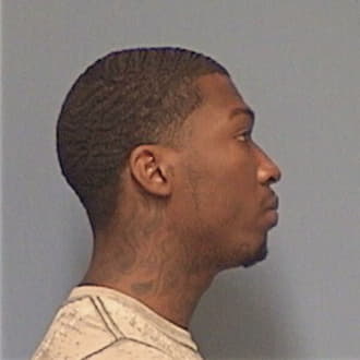 JOHNSON, ANDRE, Cook County  IL