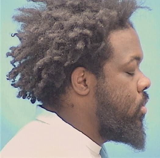 KIRKMAN, TRENELL, Cook County  IL