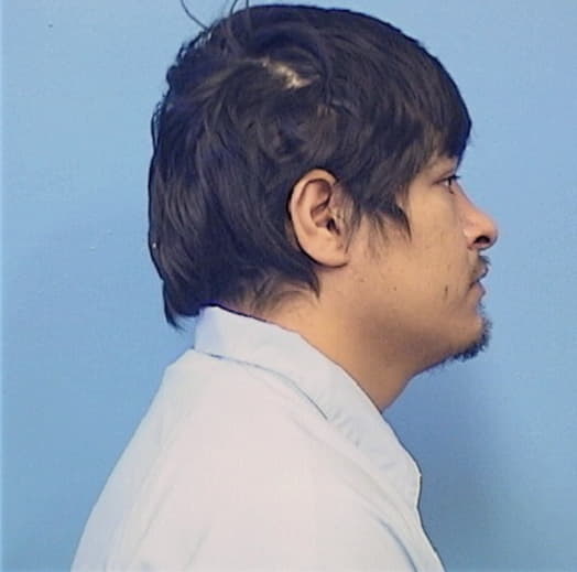 CHAGOYA-IBARRA, LUIS R., Dupage County  IL