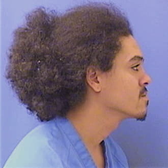MITTLESTAEDT, JOSHUA, Winnebago County  IL