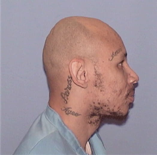AGEE, CHRISTOPHER L., Cook County  IL